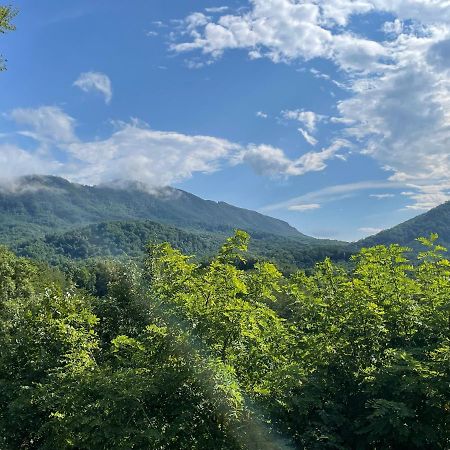 Bear Doodle Villa Sevierville Exterior foto